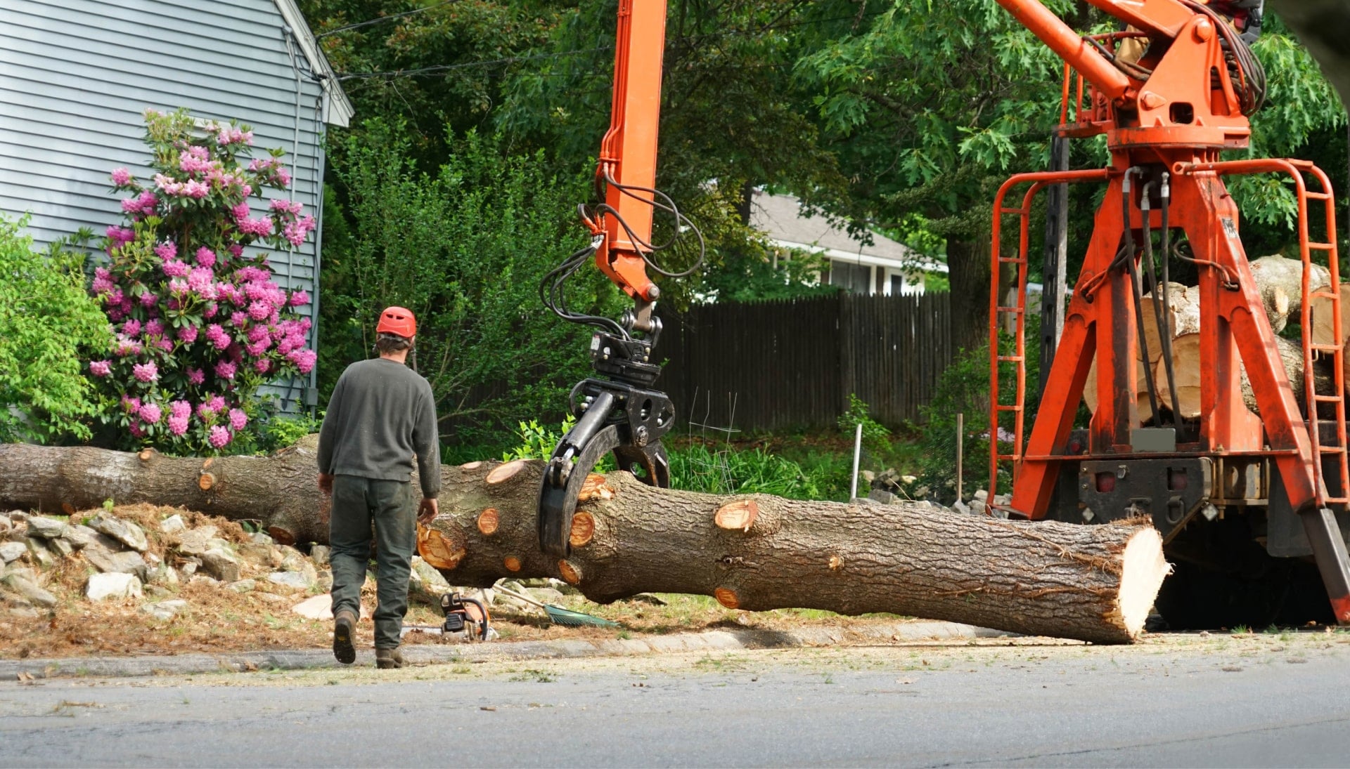 Local partner for Tree removal services in Queens
