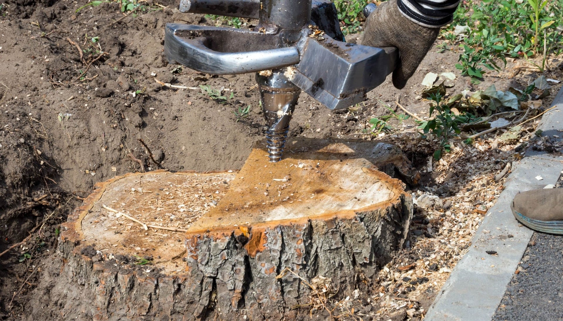 Queens Tree stump removal